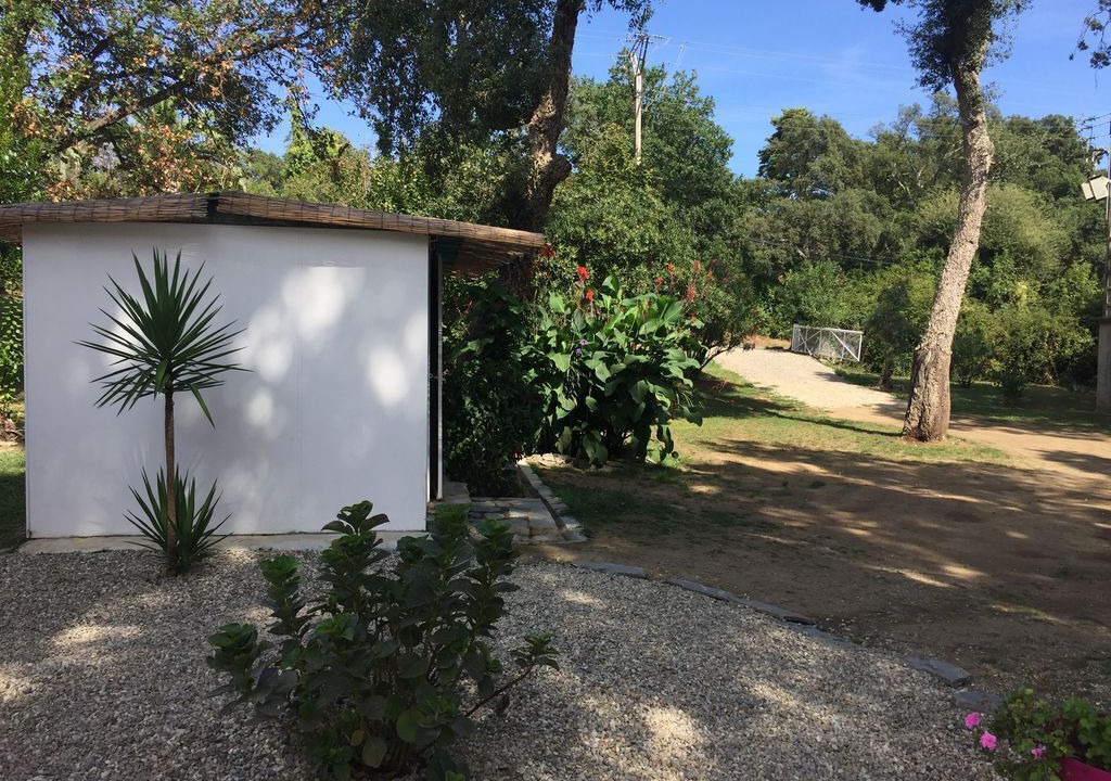 Photo of Outdoor in Santa-Maria-Poggio