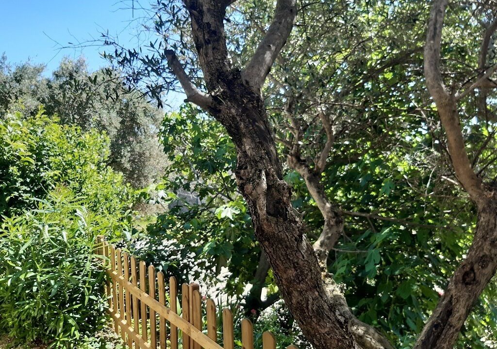 Photo of Outdoor in Vezenobres