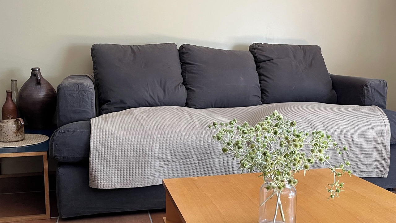 Photo of Livingroom in Cheille