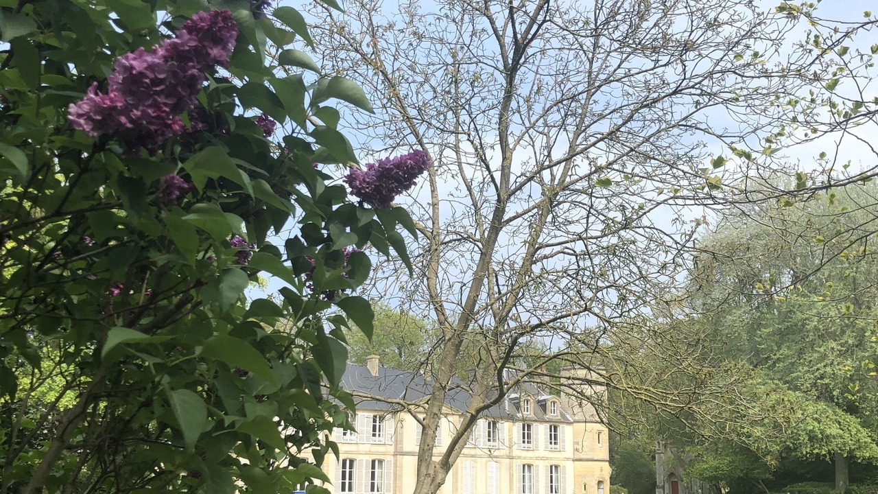 Photo of Outdoor in Commes