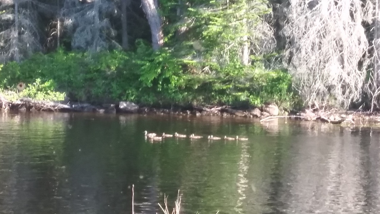 Photo of Outdoor in Tupper Lake