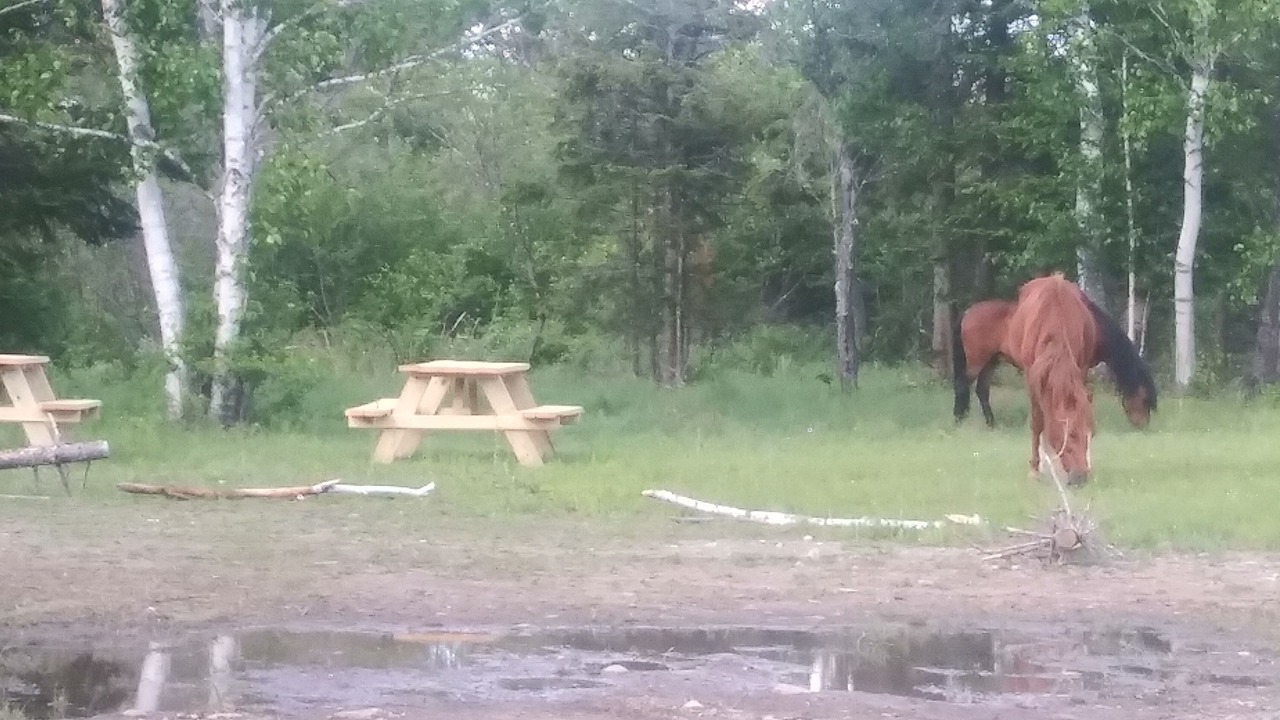 Photo of Outdoor in Tupper Lake