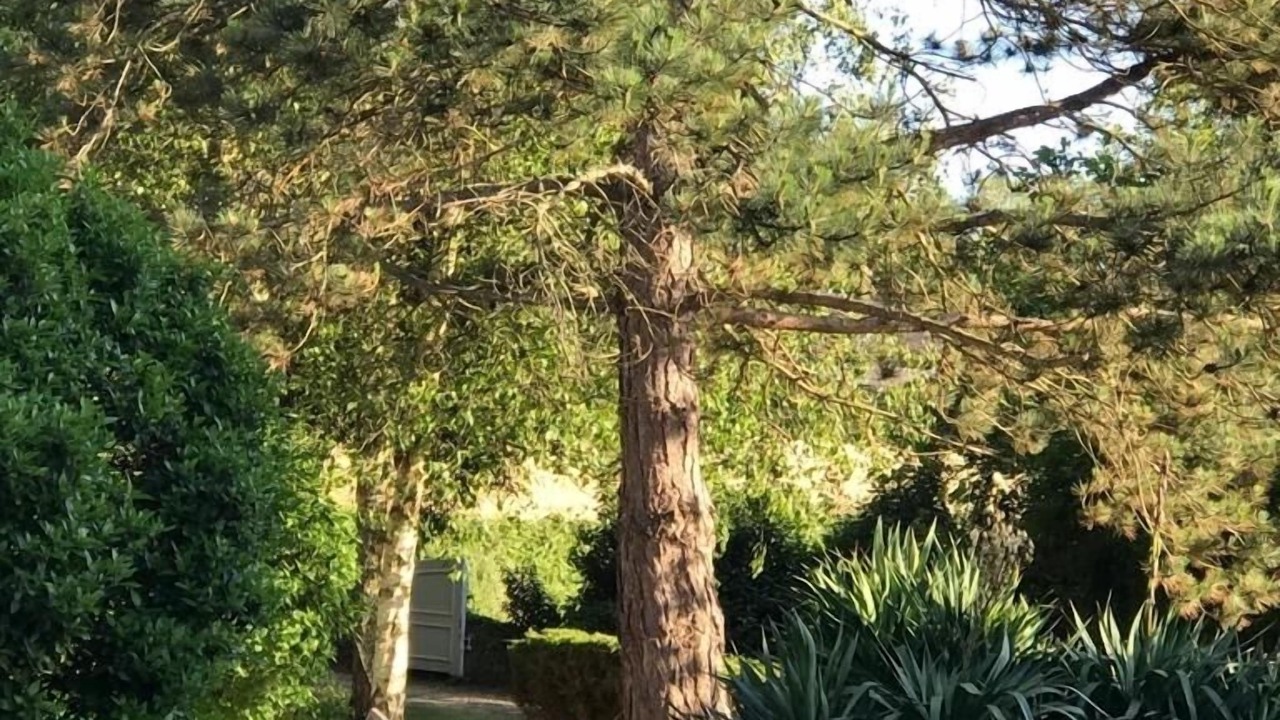 Photo of Outdoor in Blainville-sur-Mer