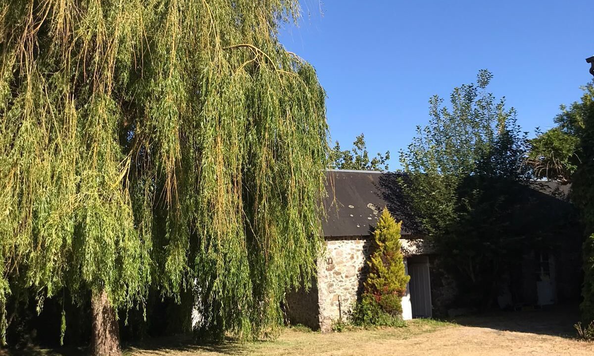 Photo of Outdoor in Blainville-sur-Mer