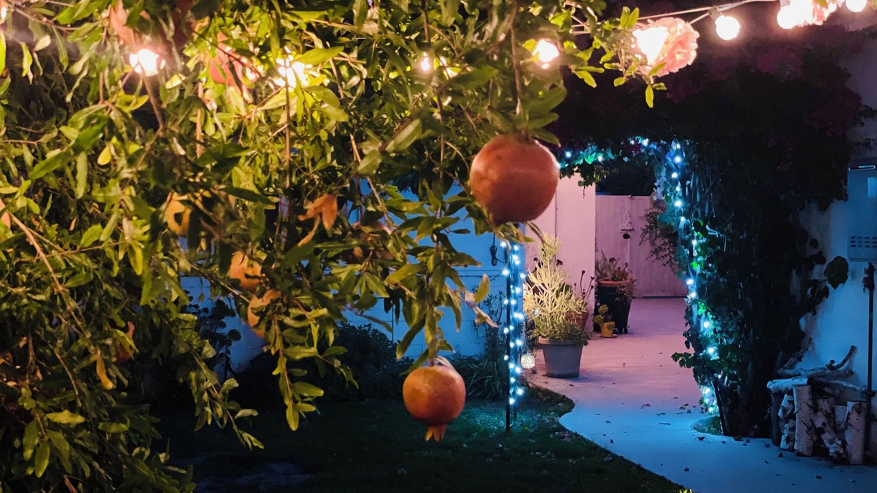 Photo of Outdoor in Burbank