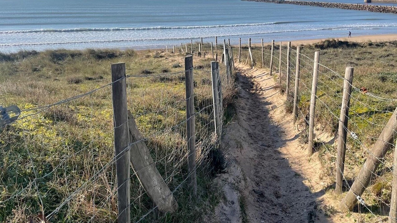 Photo of Others in Saint-Jean-de-Monts