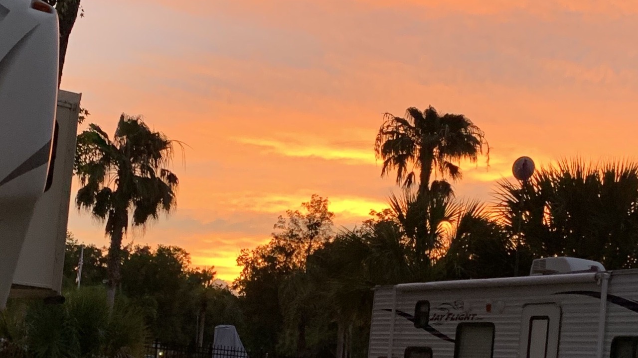 Photo of Others in Homosassa