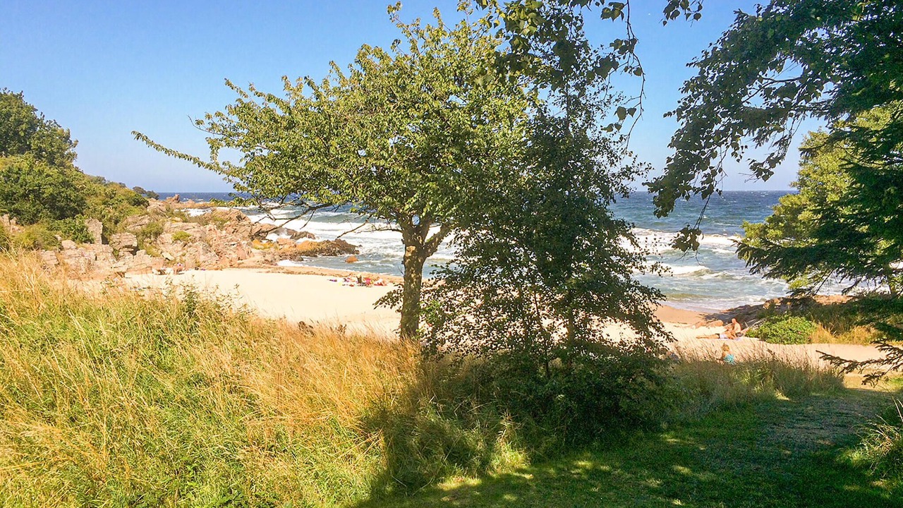 Photo of Others in Sandkaas