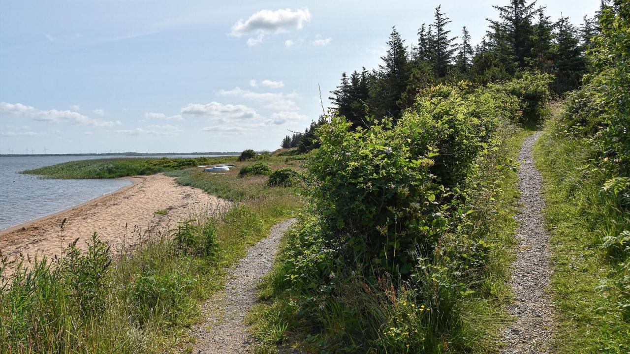 Photo of Others in Sønder Nissum