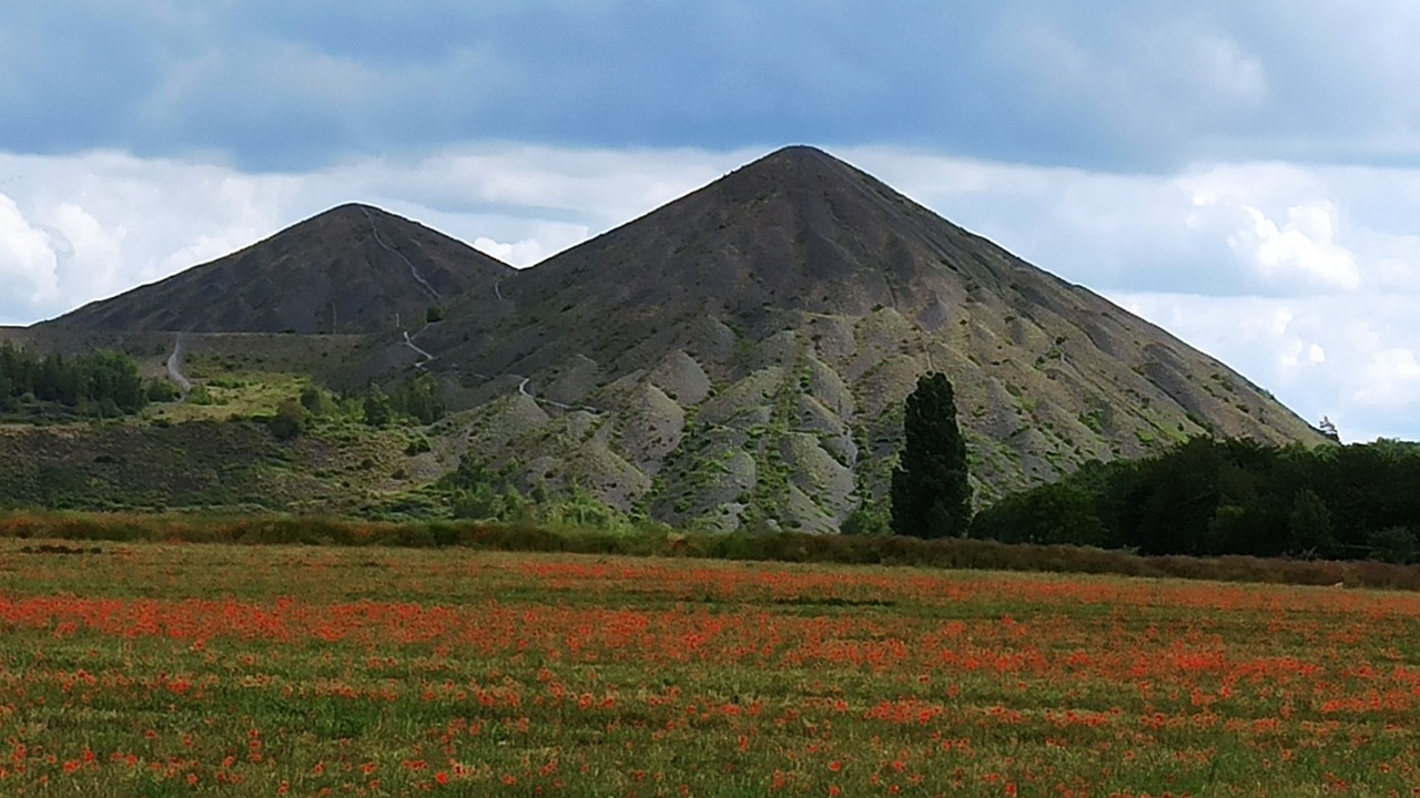 Photo of Outdoor in Lens
