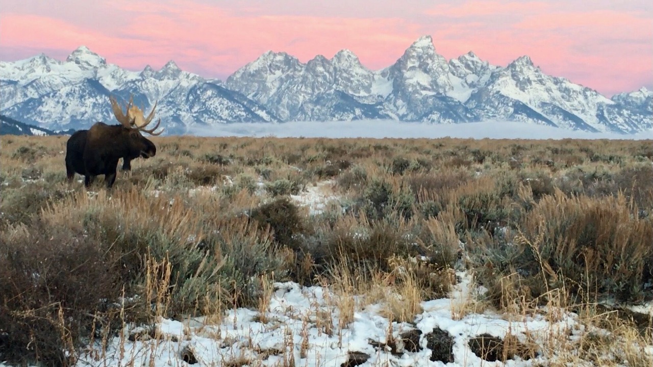 Photo of Outdoor in Jackson