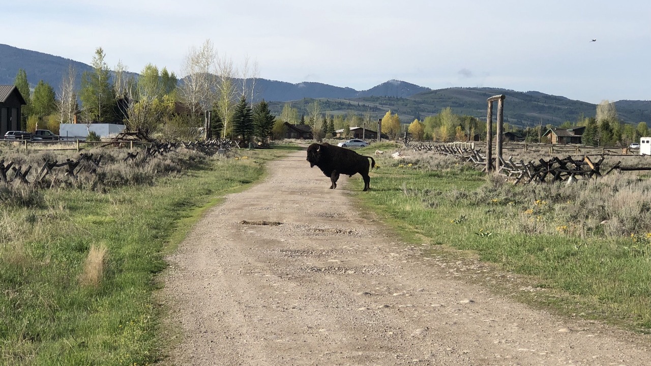 Photo of Outdoor in Jackson