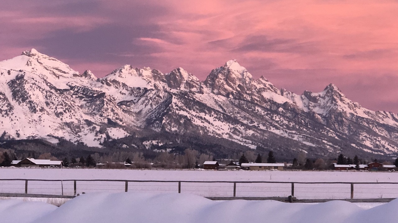 Photo of Others in Jackson