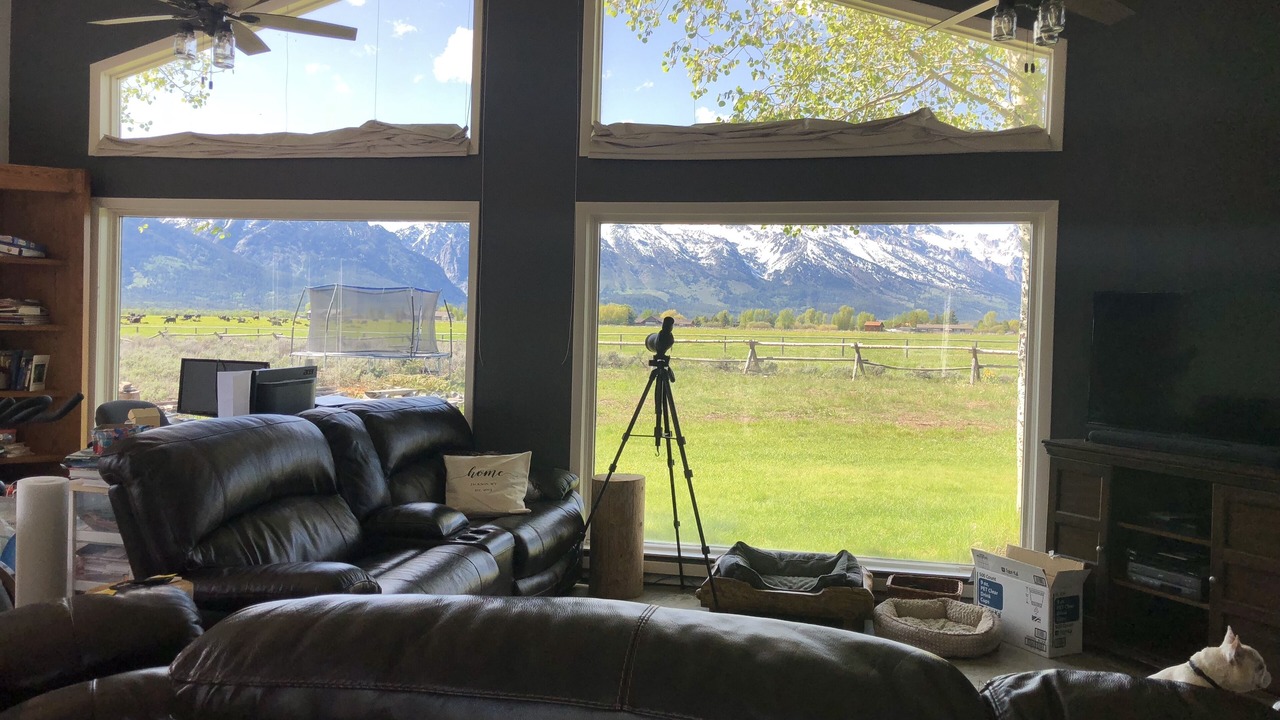 Photo of Livingroom in Jackson