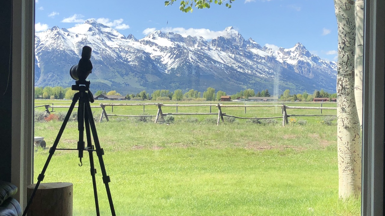 Photo of Others in Jackson