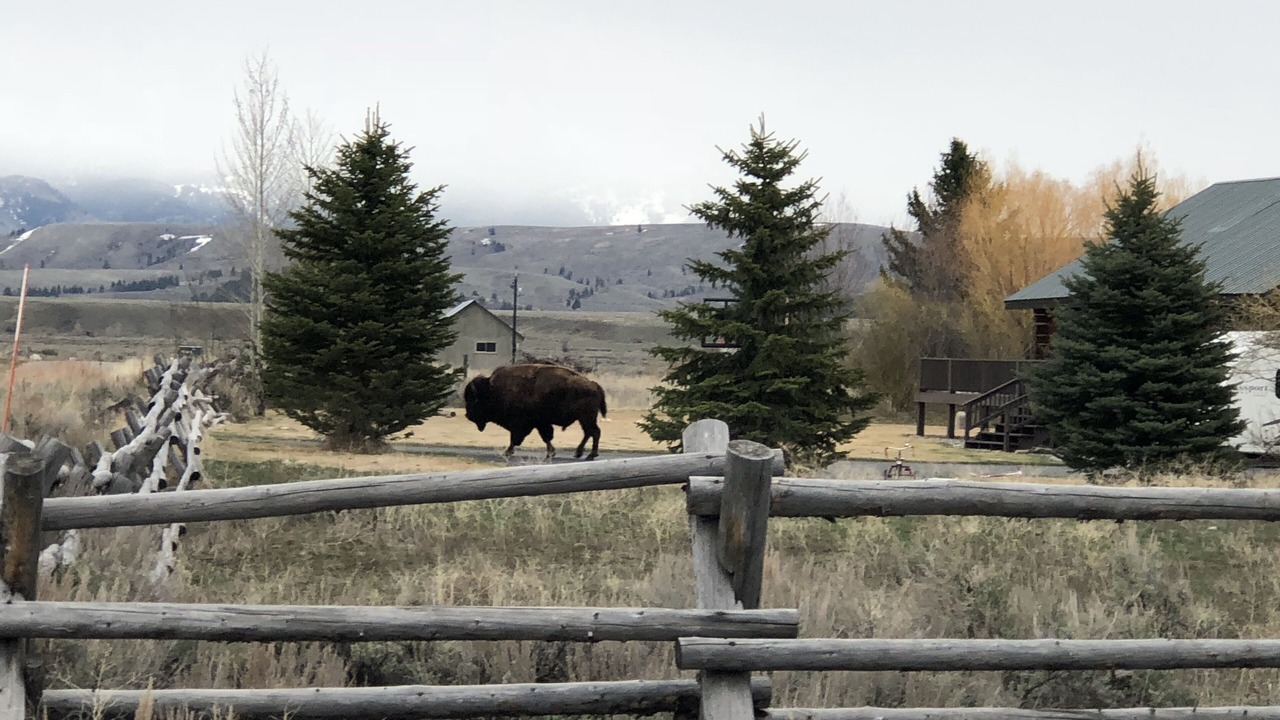 Photo of Outdoor in Jackson