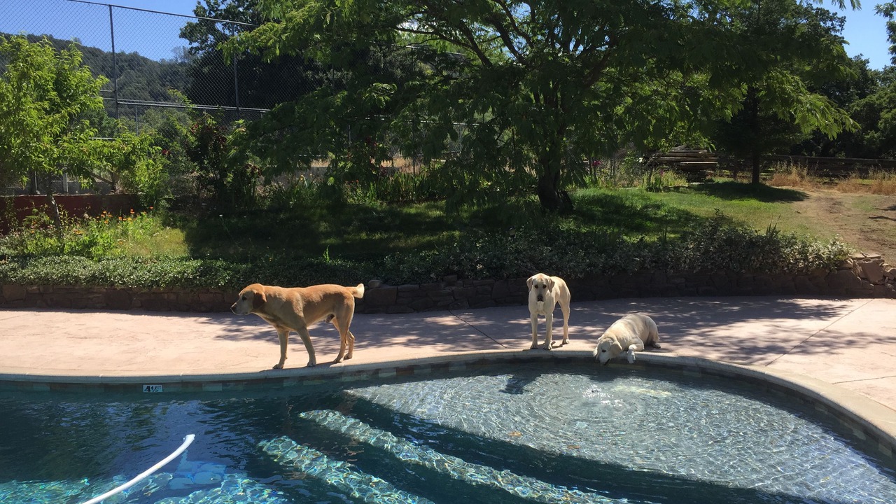 Photo of Outdoor in St. Helena