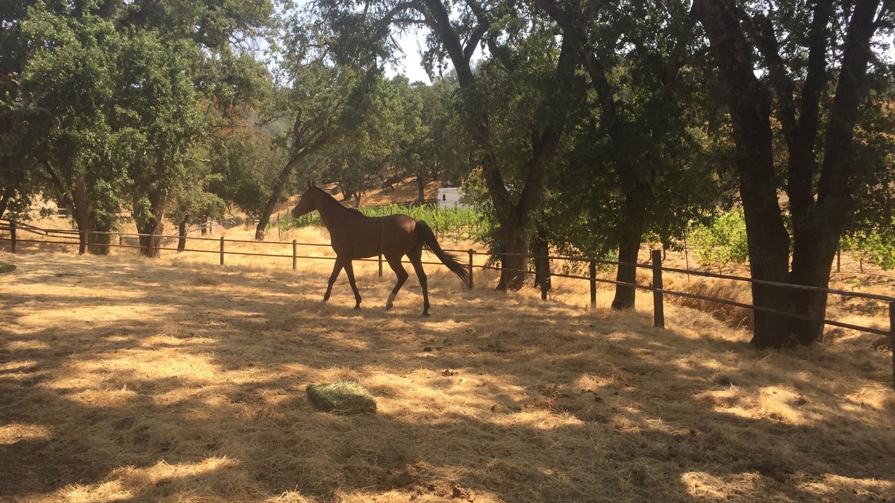 Photo of Outdoor in St. Helena