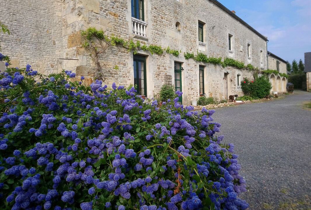Photo of Outdoor in Fresney-le-Vieux