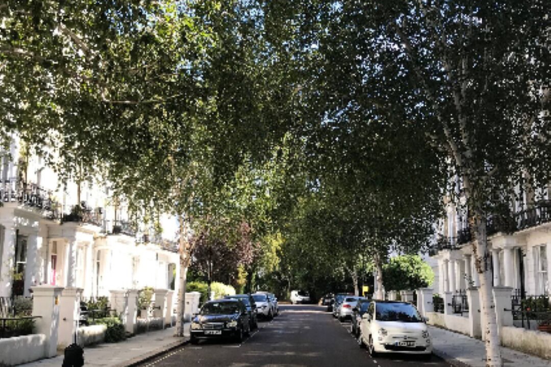 Photo of Others in Bayswater