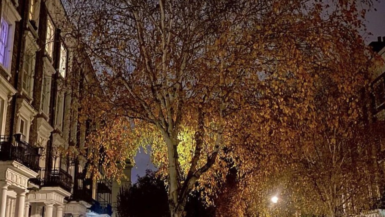 Photo of Others in Bayswater