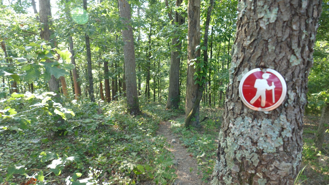 Photo of Outdoor in Broken Bow