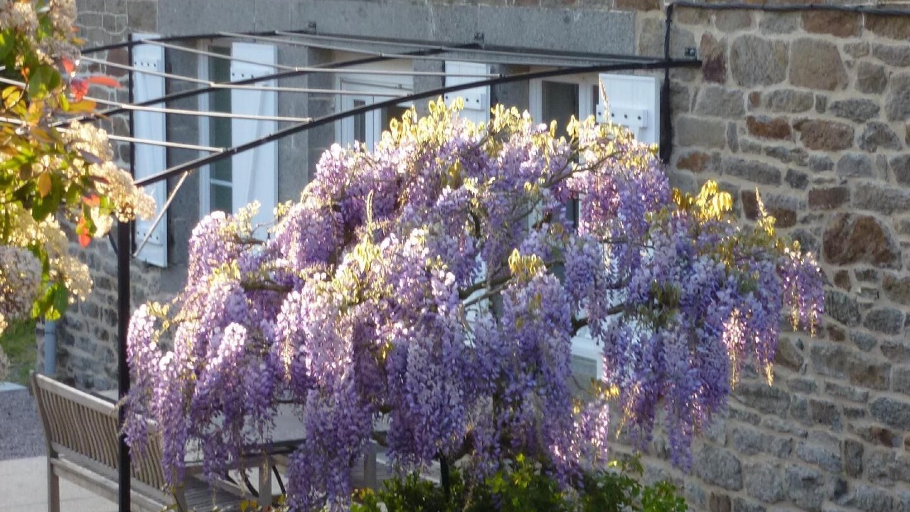 Photo of Outdoor in Pleudihen-sur-Rance