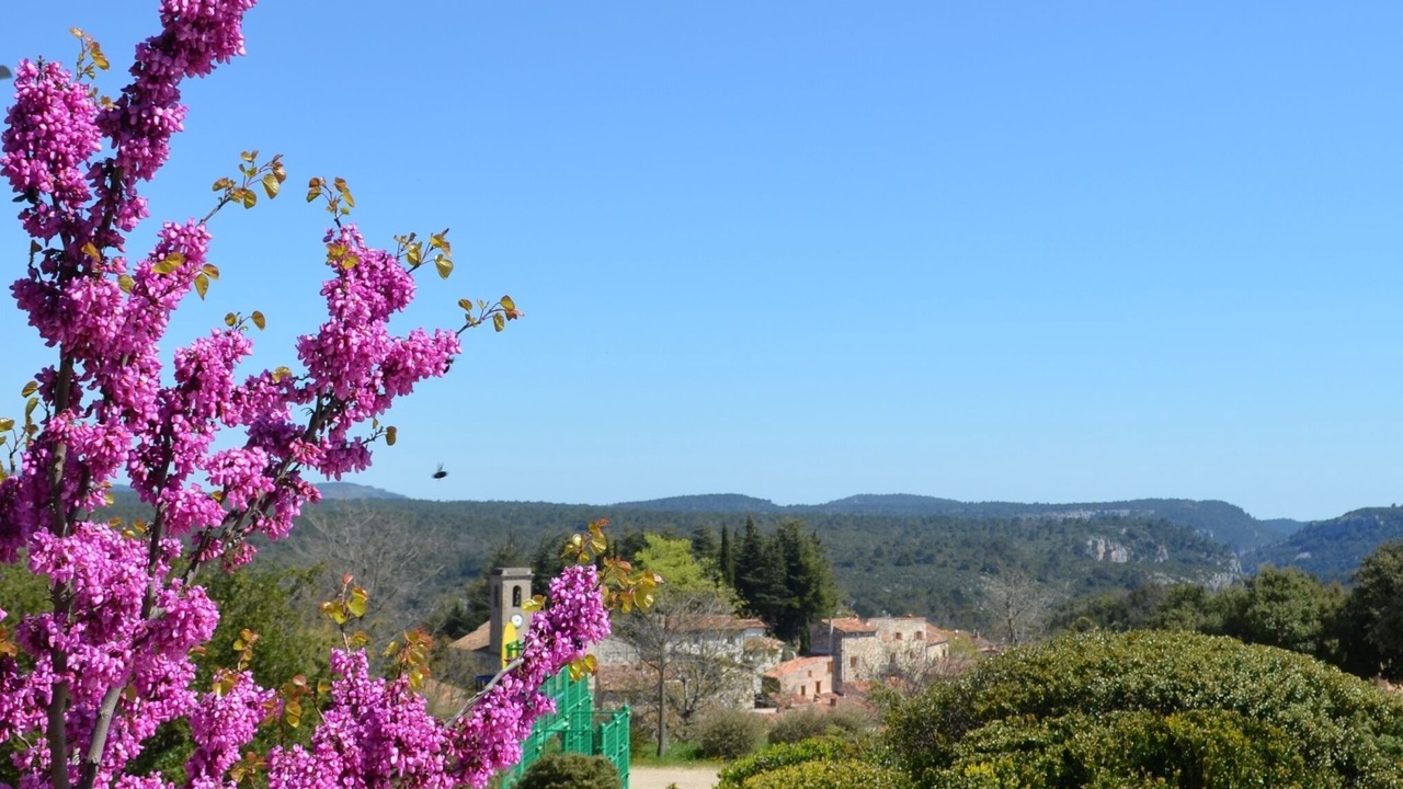 Photo of Outdoor in Ampus