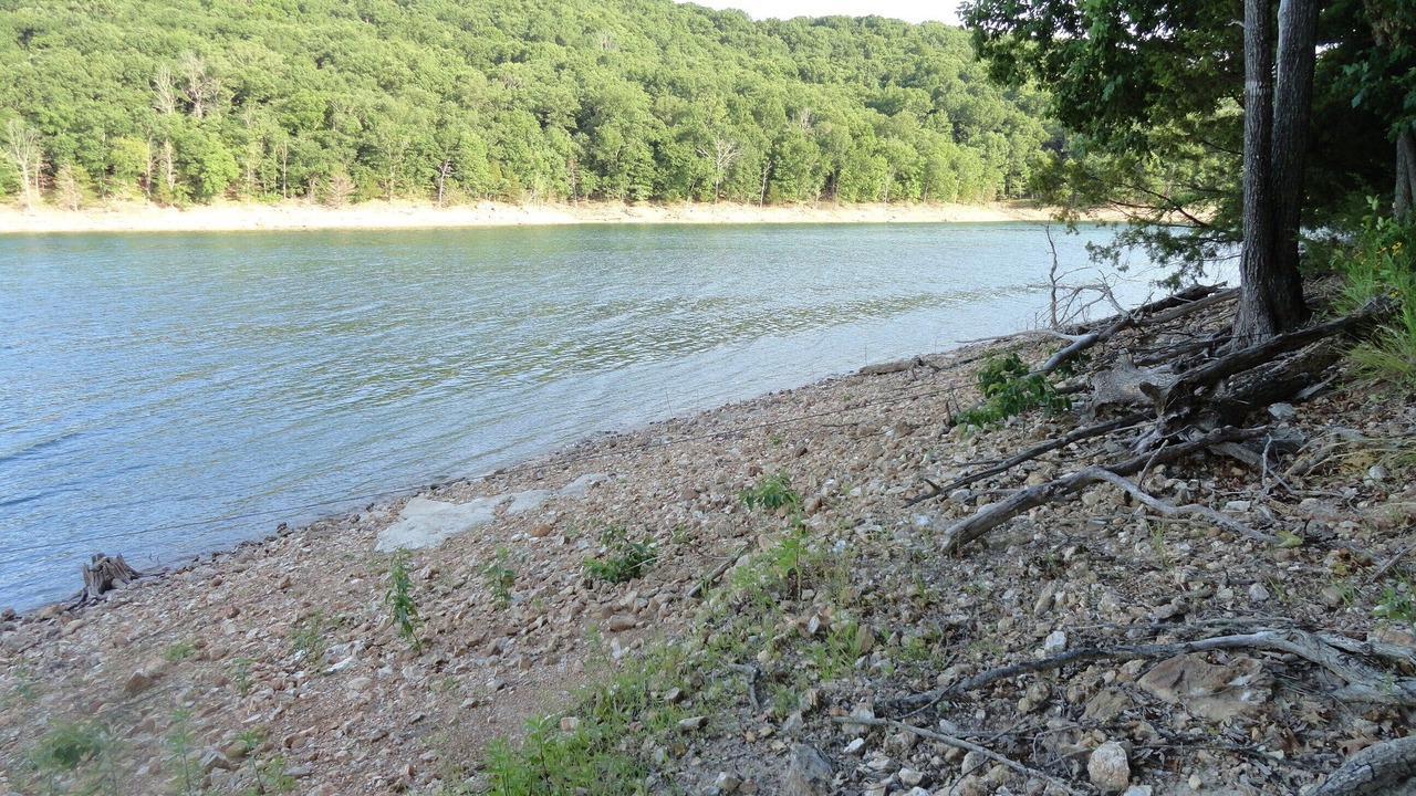 Photo of Others in Lost Bridge Village