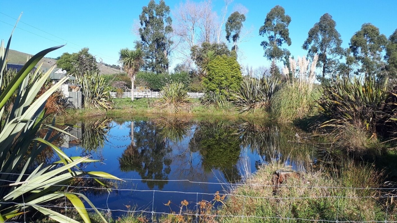 Photo of Outdoor in Gladstone