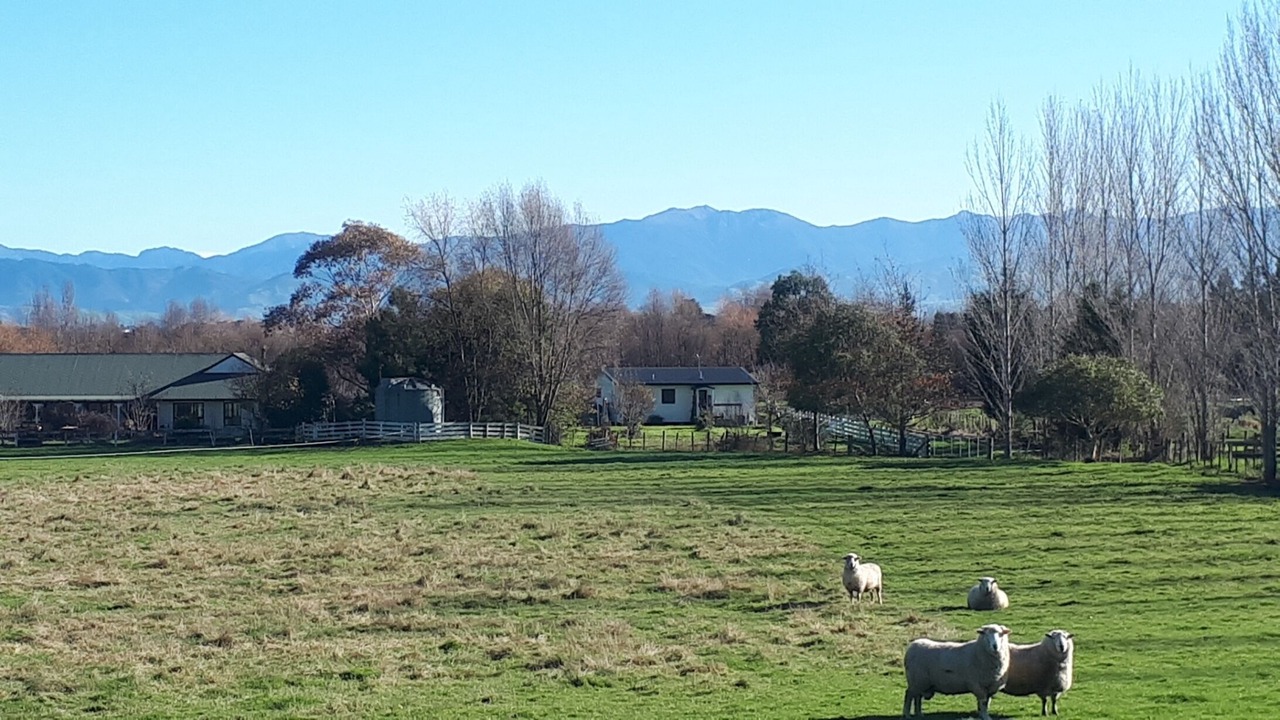 Photo of Outdoor in Gladstone