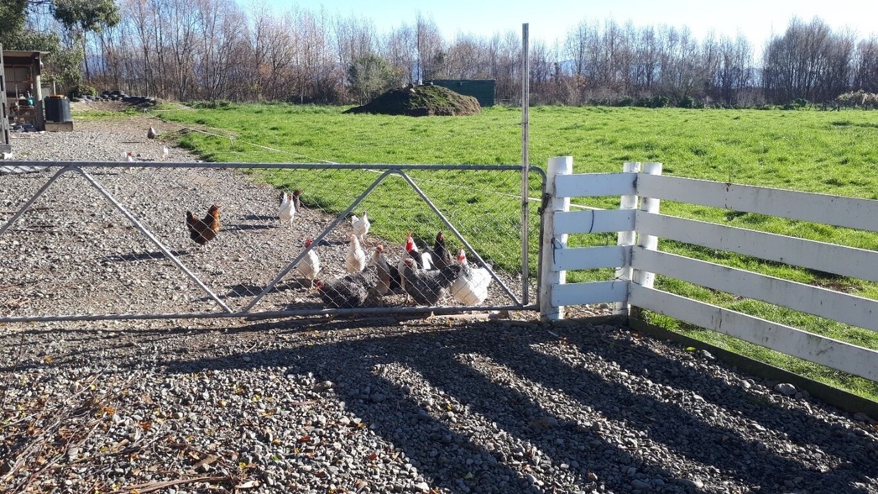 Photo of Outdoor in Gladstone