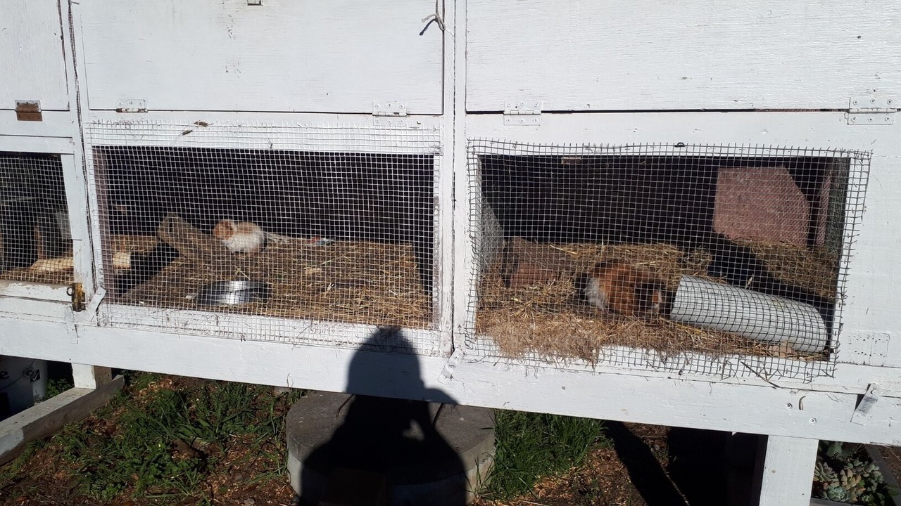 Photo of Outdoor in Gladstone