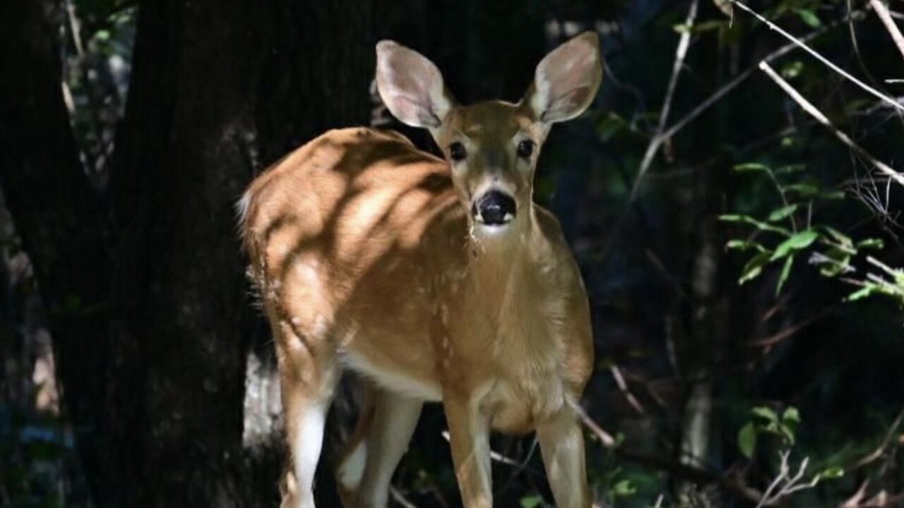 Photo of Others in Wisconsin Dells