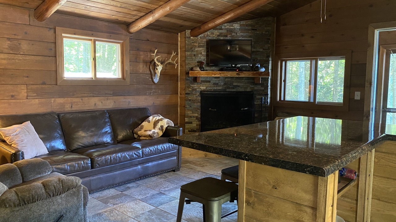 Photo of Livingroom in Phelps