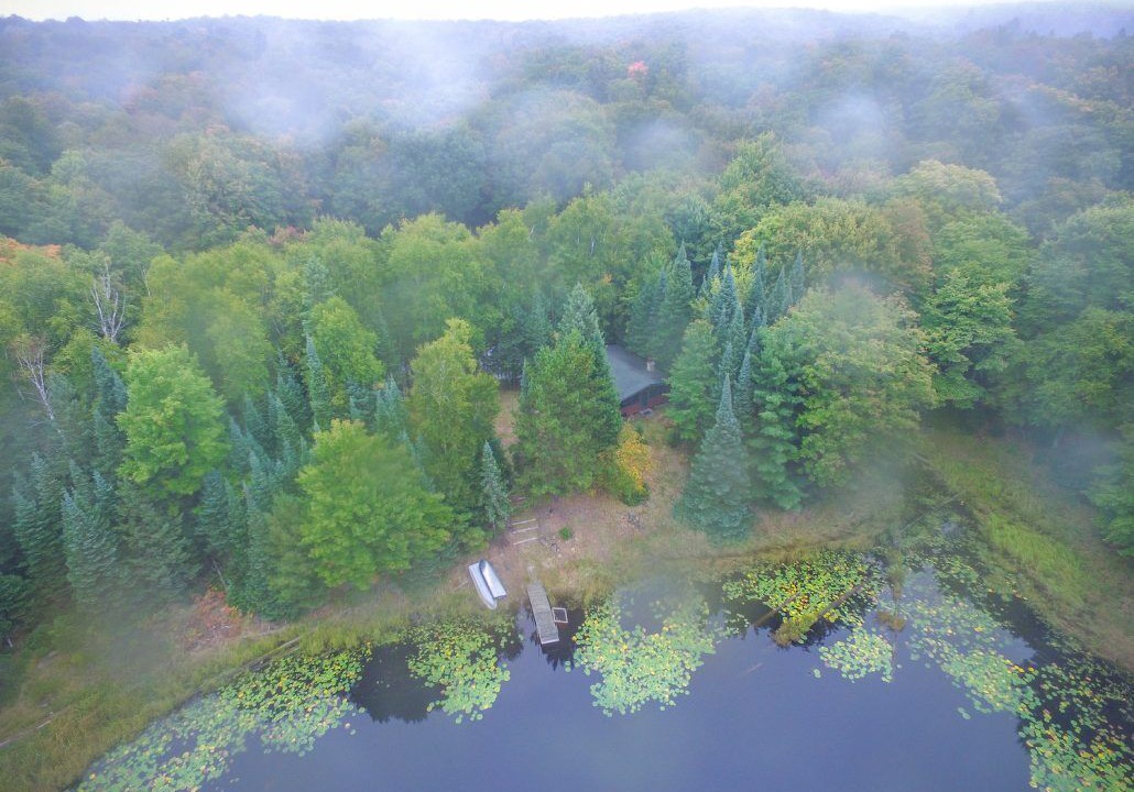 Photo of Outdoor in Phelps