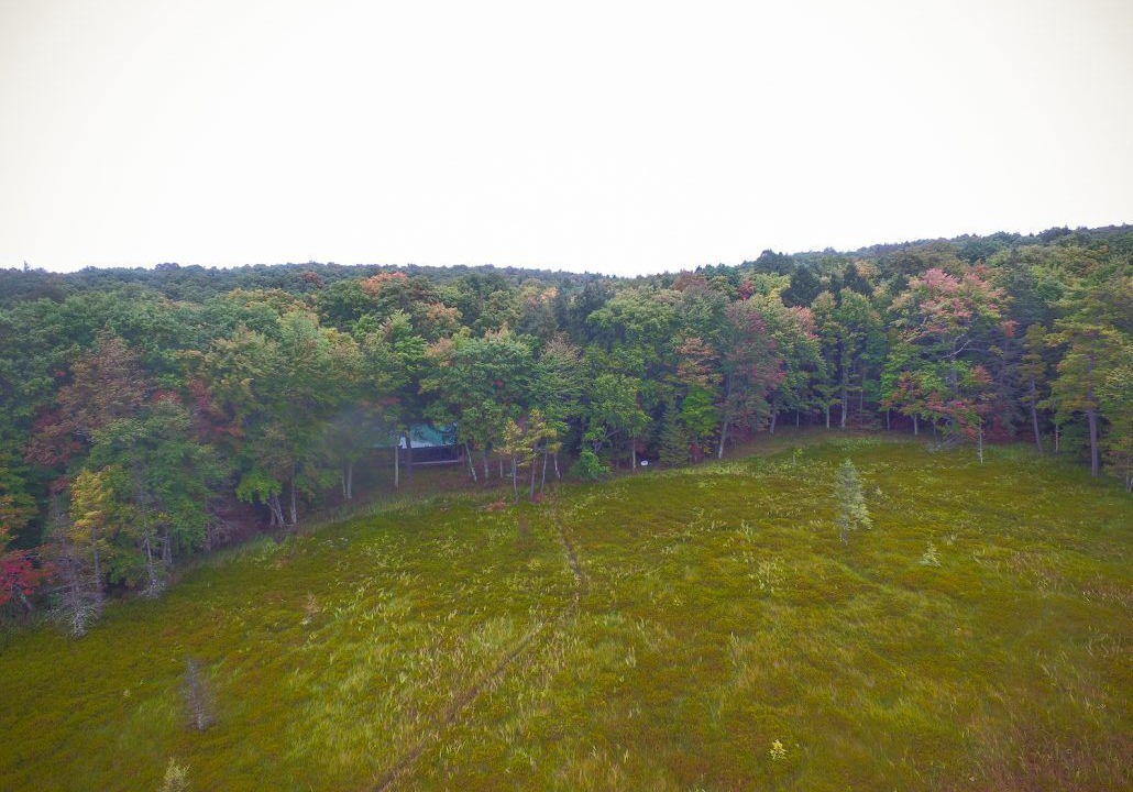 Photo of Outdoor in Phelps