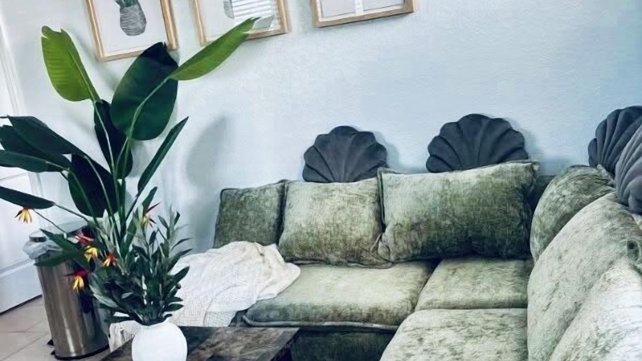 Photo of Livingroom in Redington Shores