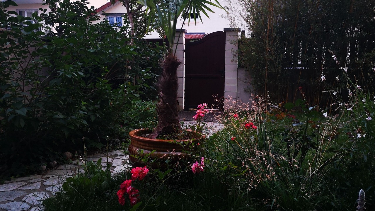 Photo of Outdoor in Clamart