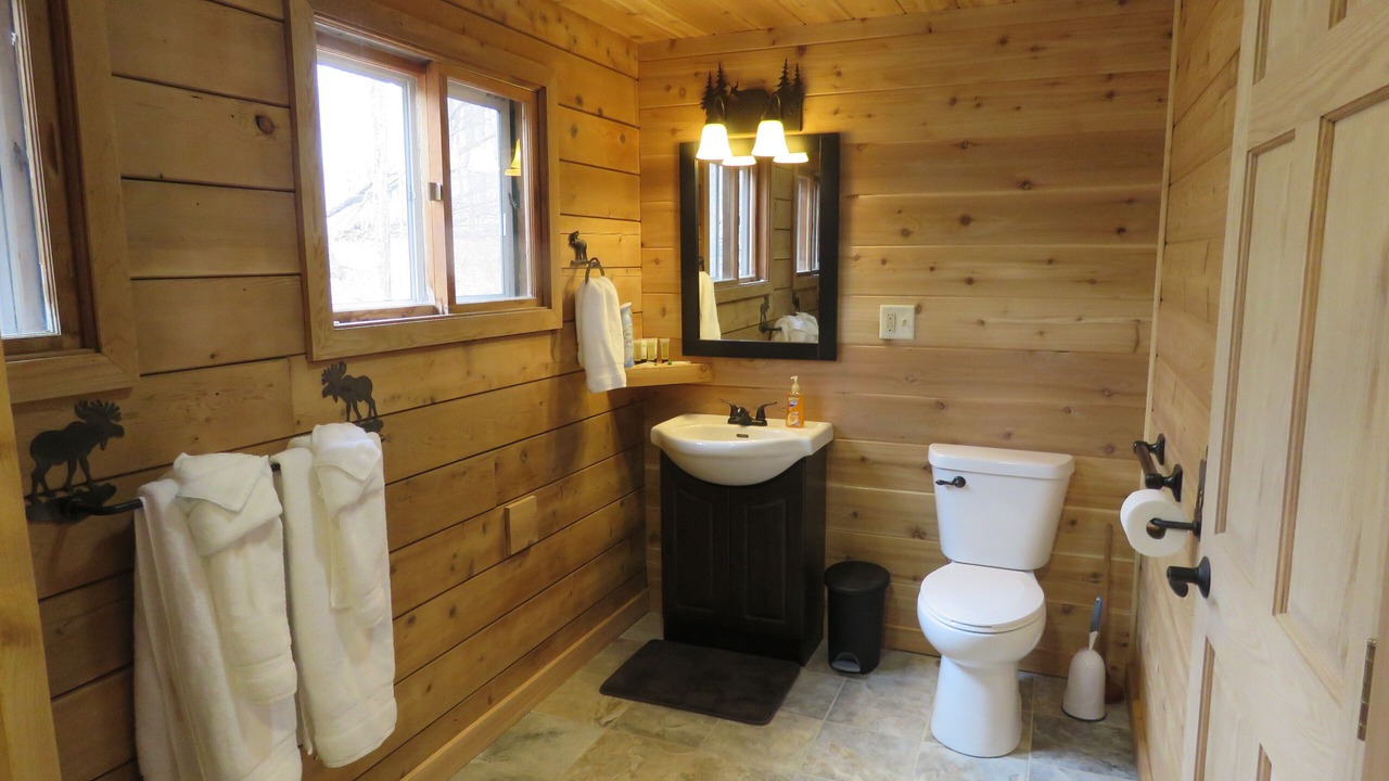 Photo of Bathroom in Phelps