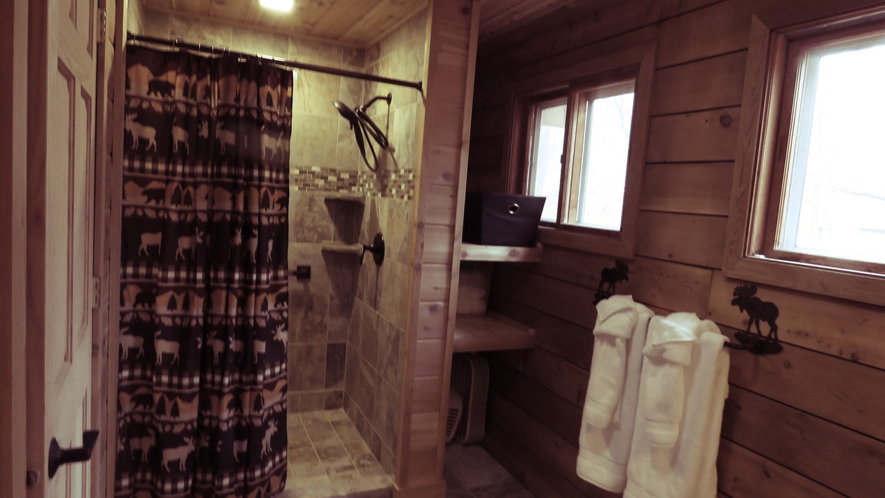 Photo of Bathroom in Phelps