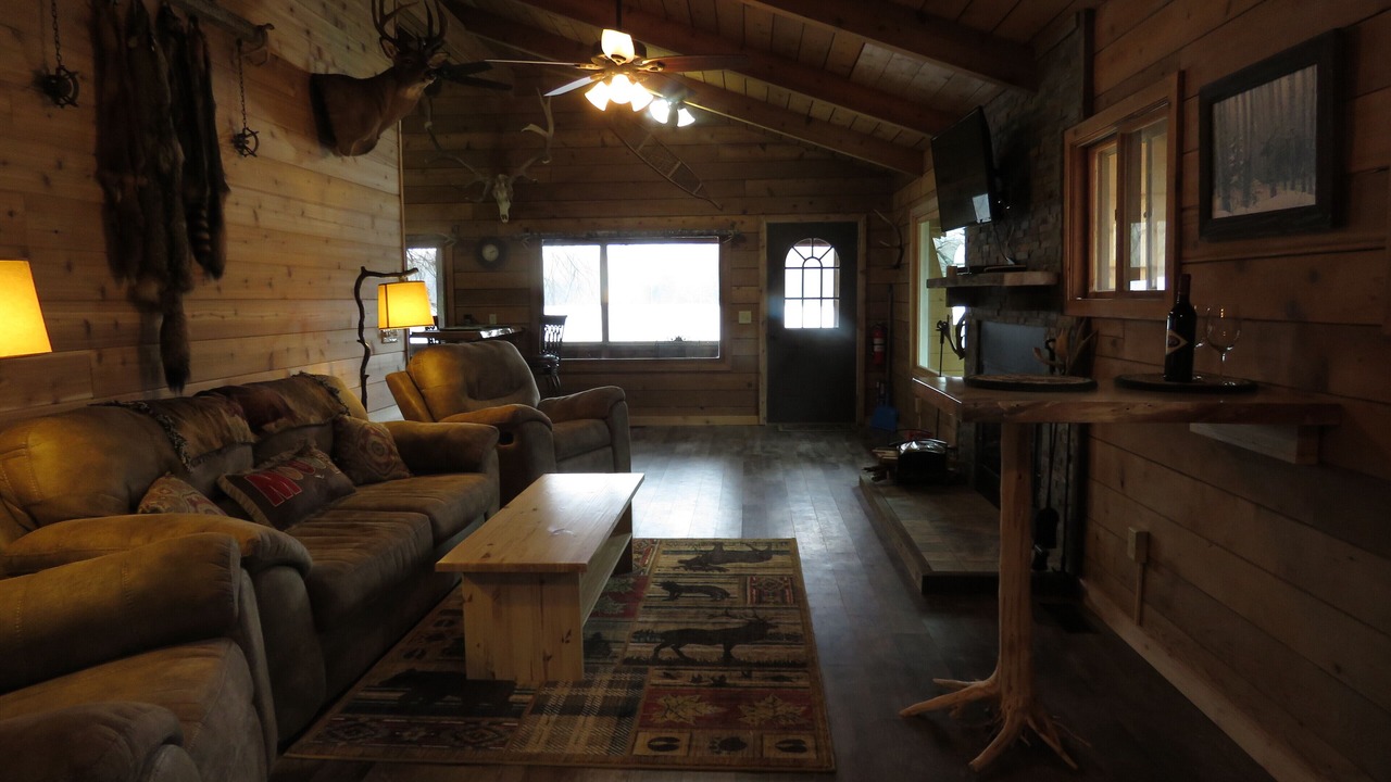 Photo of Livingroom in Phelps