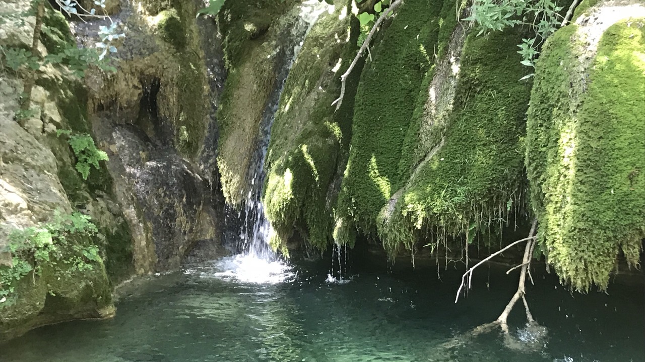Photo of Others in Villetritouls
