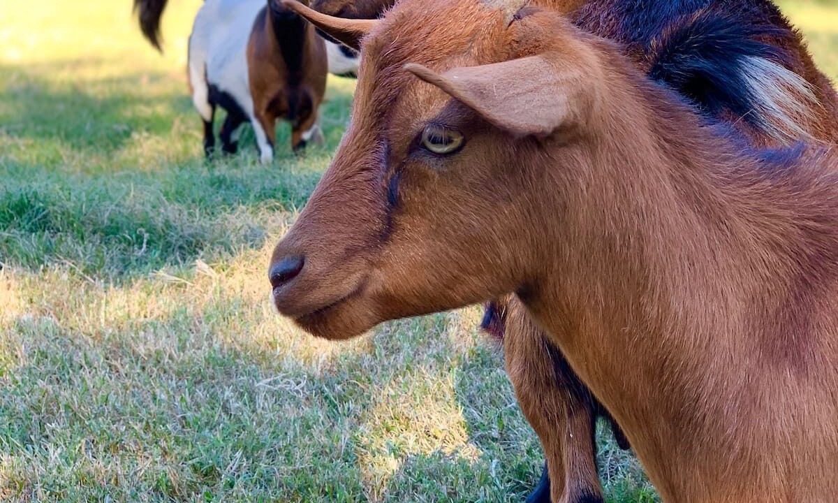 Photo of Others in Waco