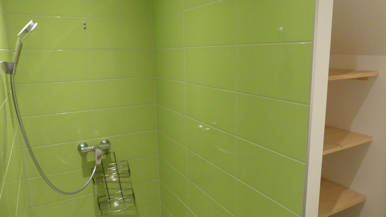 Photo of Bathroom in Campan