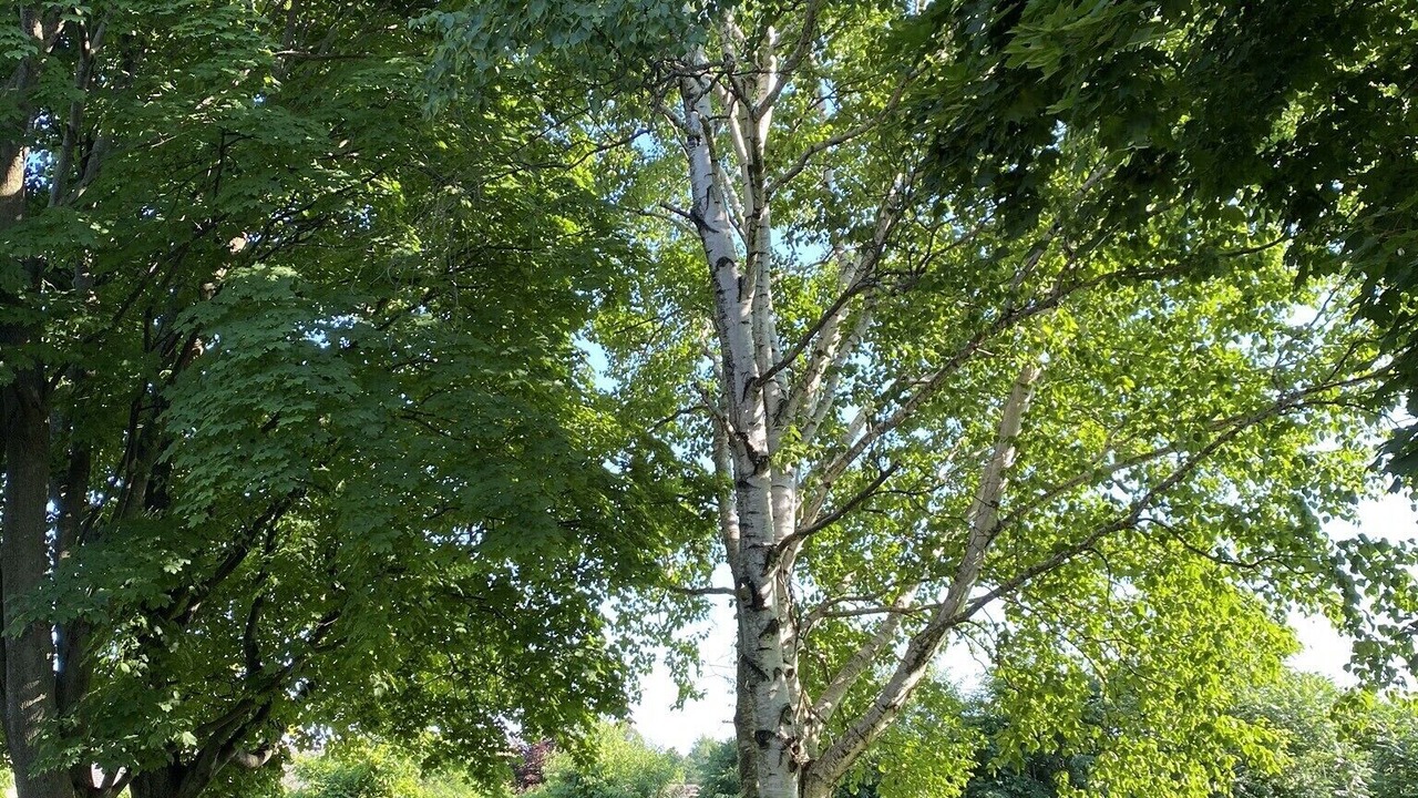 Photo of Outdoor in Fonthill