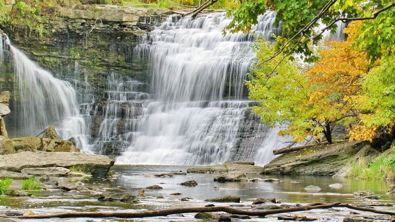 Photo of Others in Fonthill
