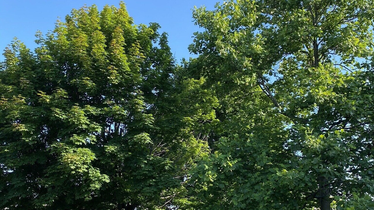Photo of Outdoor in Fonthill
