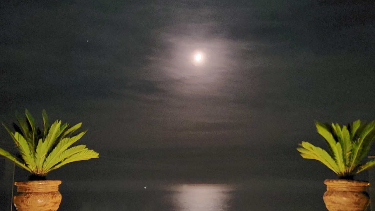 Photo of Others in Primo Tapia