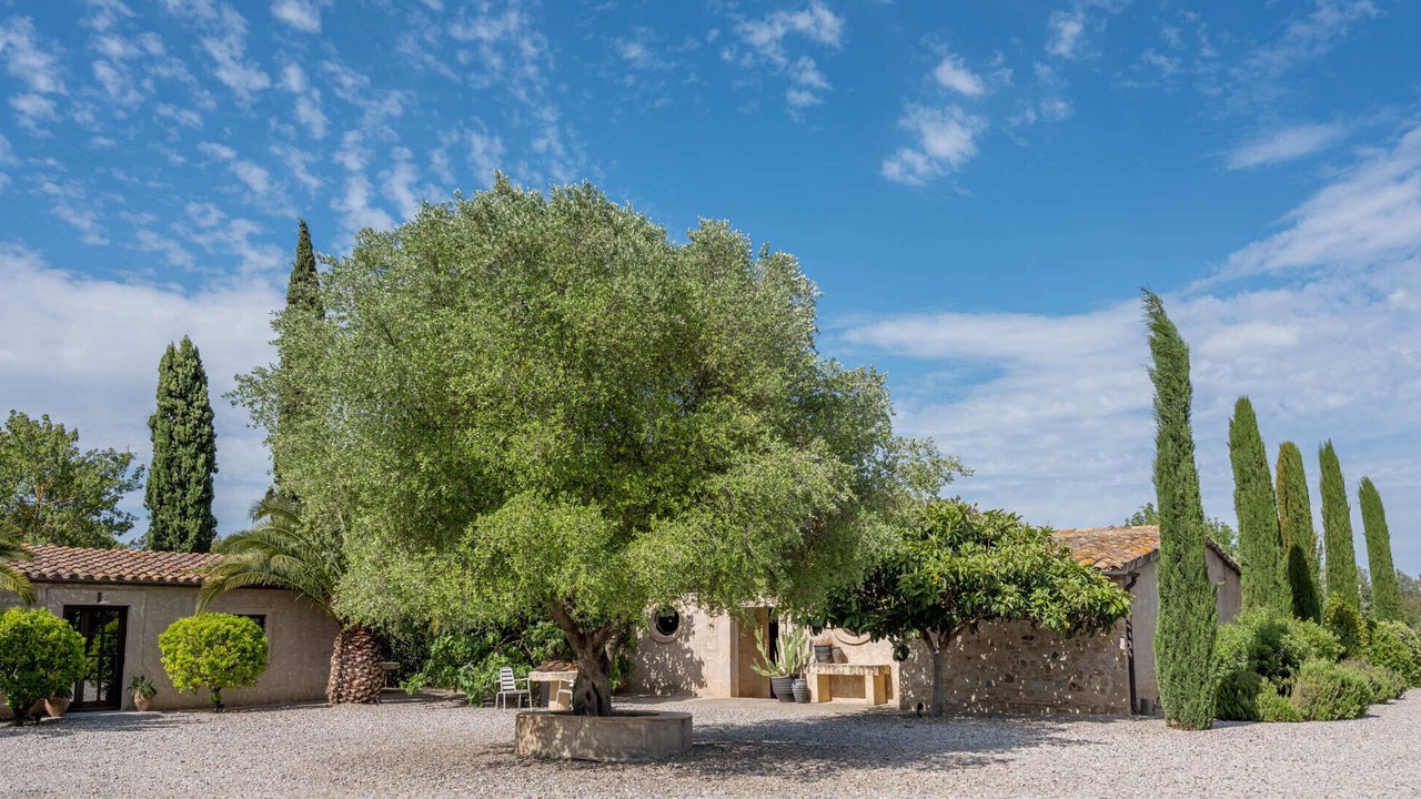 Photo of Outdoor in Queixas